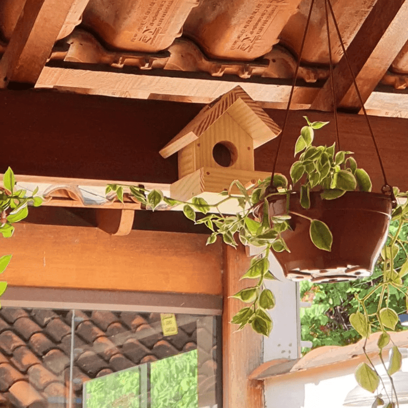 Alimentador de Pássaros em Madeira Natural Refúgio das Aves