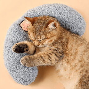 Almofada Pet Aconchegante Nap